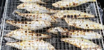 신안 섬 밴댕이 축제 오뉴월 밴댕이 맛보러 가요_9