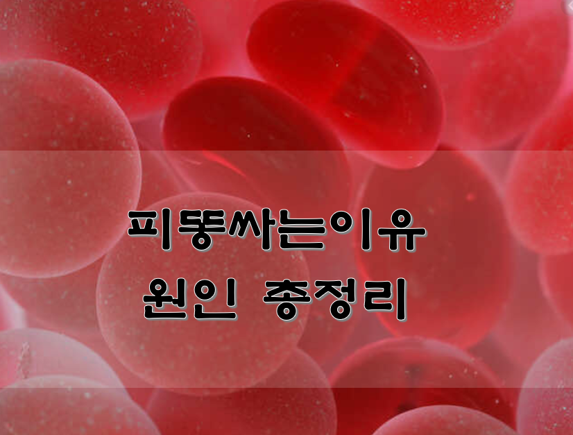  피똥싸는이유 원인 총정리
