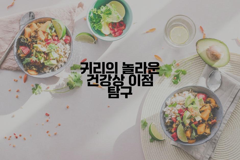 귀리의 놀라운 건강상 이점 탐구