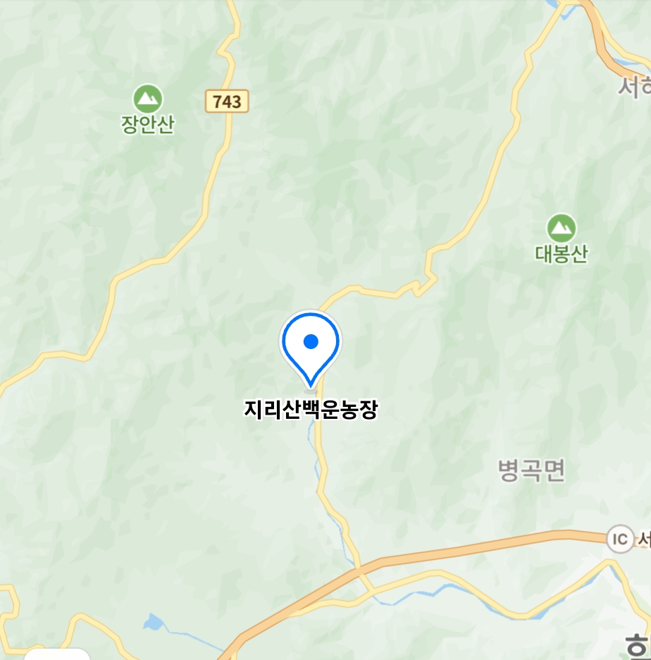 6시내고향 함양 유정란