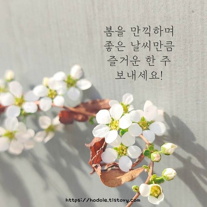 봄아침인사이미지