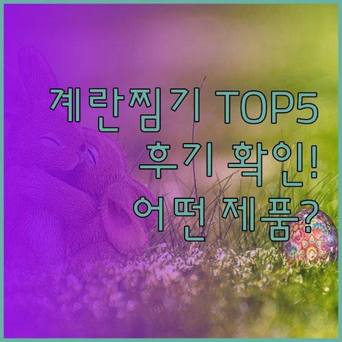 후기가 증명하는 계란찜기 인기 순위 