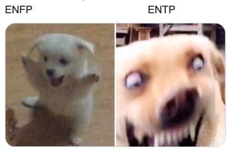 ENTP 공감 짤