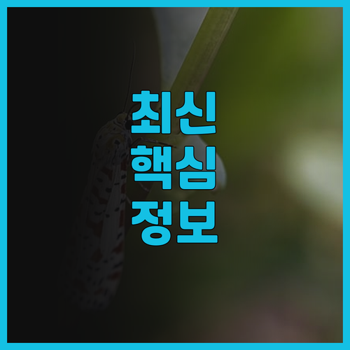 CM 서비스드 아파트멘트 심천 동문 