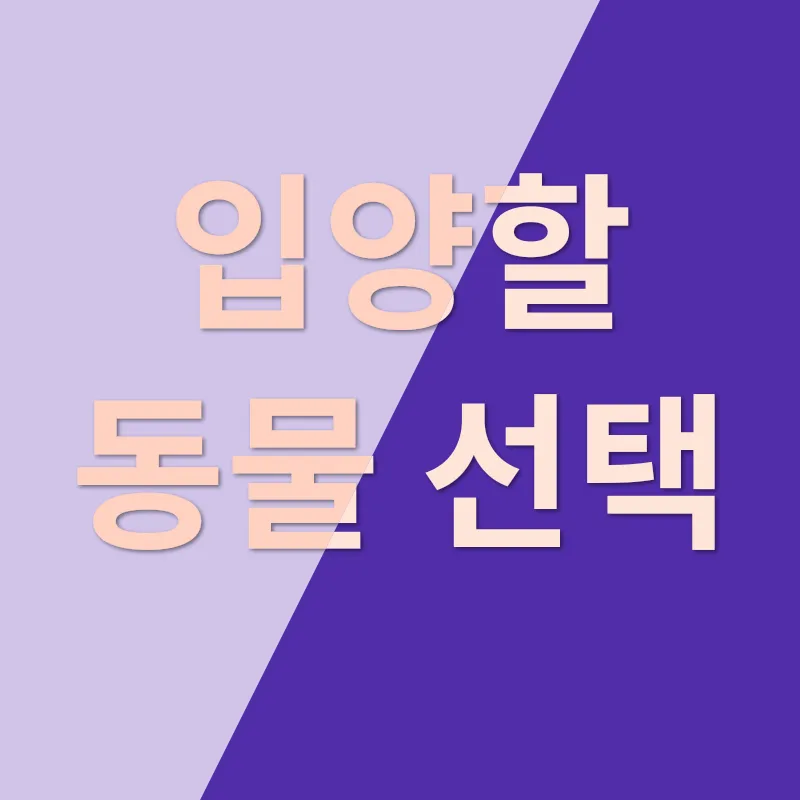 반려동물 입양_3