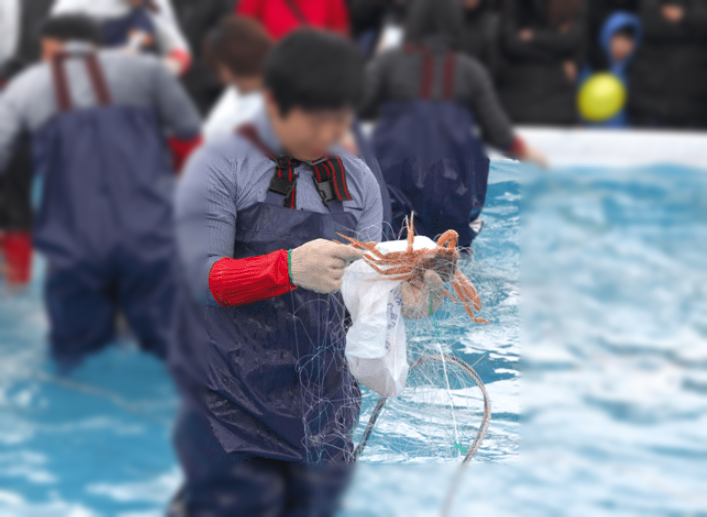 울진대게축제, 붉은대게축제, 울진여행, 후포항, 이찬원, 풍금, 전국품바경연대회, 등기산공원, 스카이워크, 경북축제