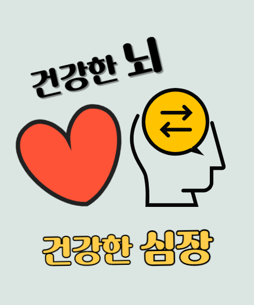  두뇌 건강이 심장 건강에 미치는 영향 및 개선 방법