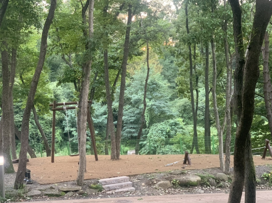 비슬산자연휴양림, 숲캠핑, 6번데크후기 대구 캠핑 1