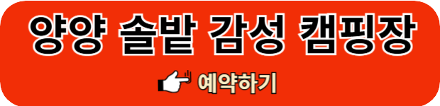 양양-감성캠핑