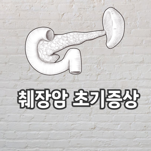  췌장암 초기 증상 그냥 놔두면 큰일납니다.