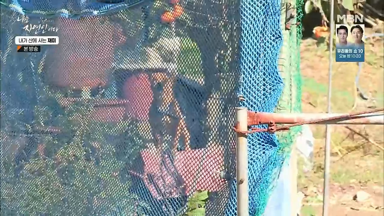 나는 자연인이다.E529.221124p.H264-F1RST.mp4_20221124_194714.759.jpg