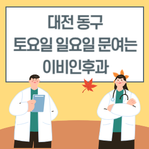 대전 동구 토요일 일요일 이비인후과 진료 병원 리스트
