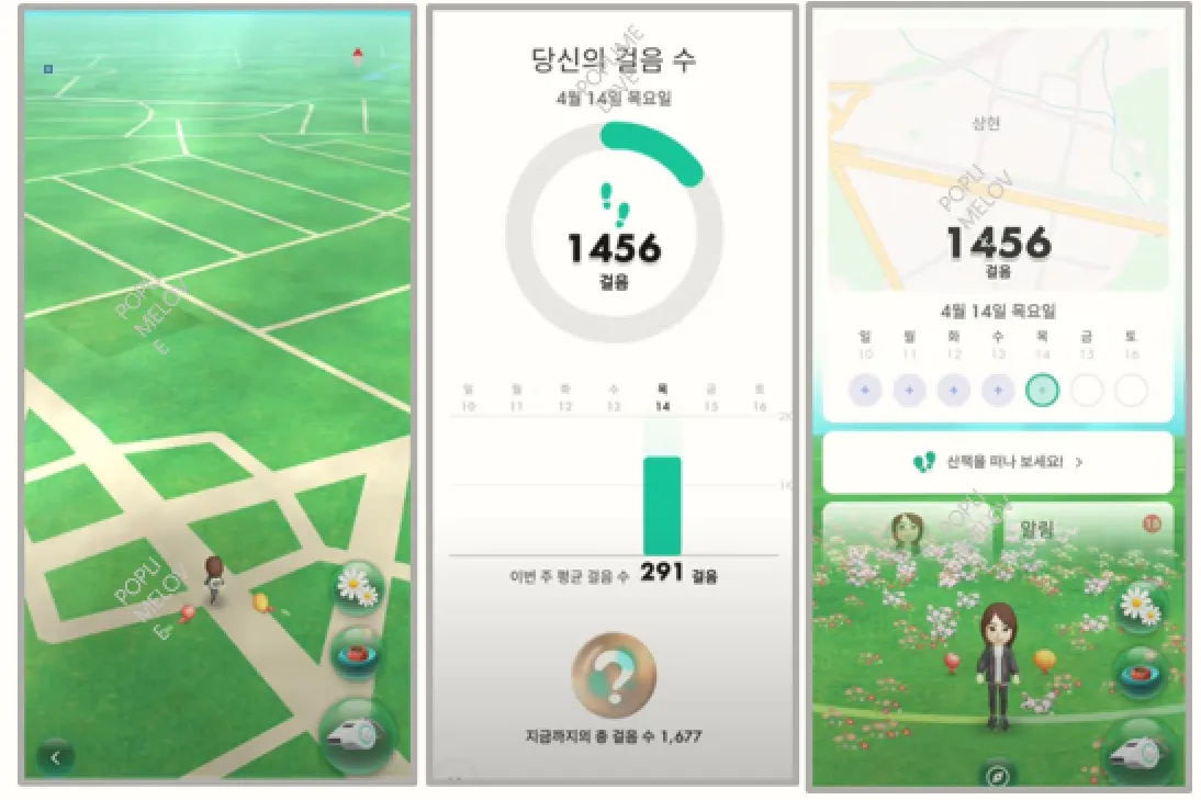 당신의 걸음수