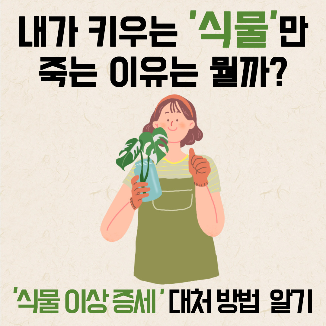  내가 키우는 '식물'만 죽는 이유는 뭘까?