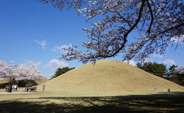 경주 미추왕릉 사진