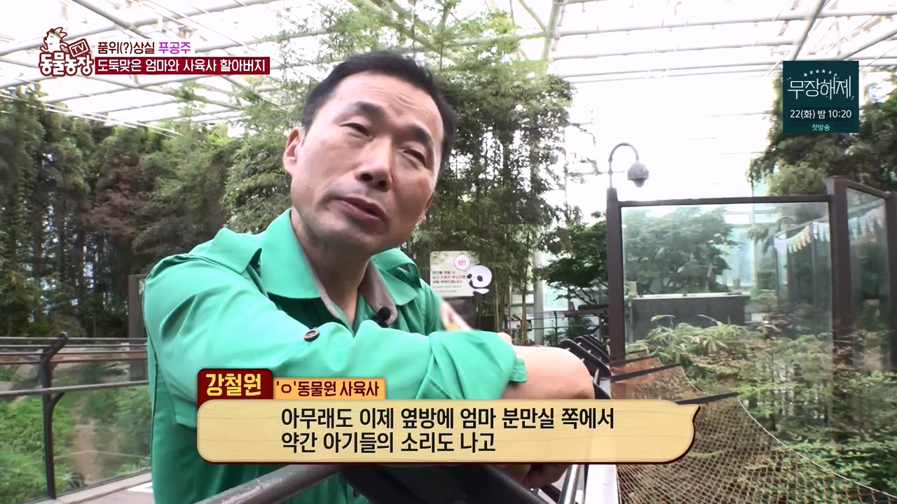 TV 동물농장.E1133.230814p-NEXT.mp4_20230813_171340.419.jpg