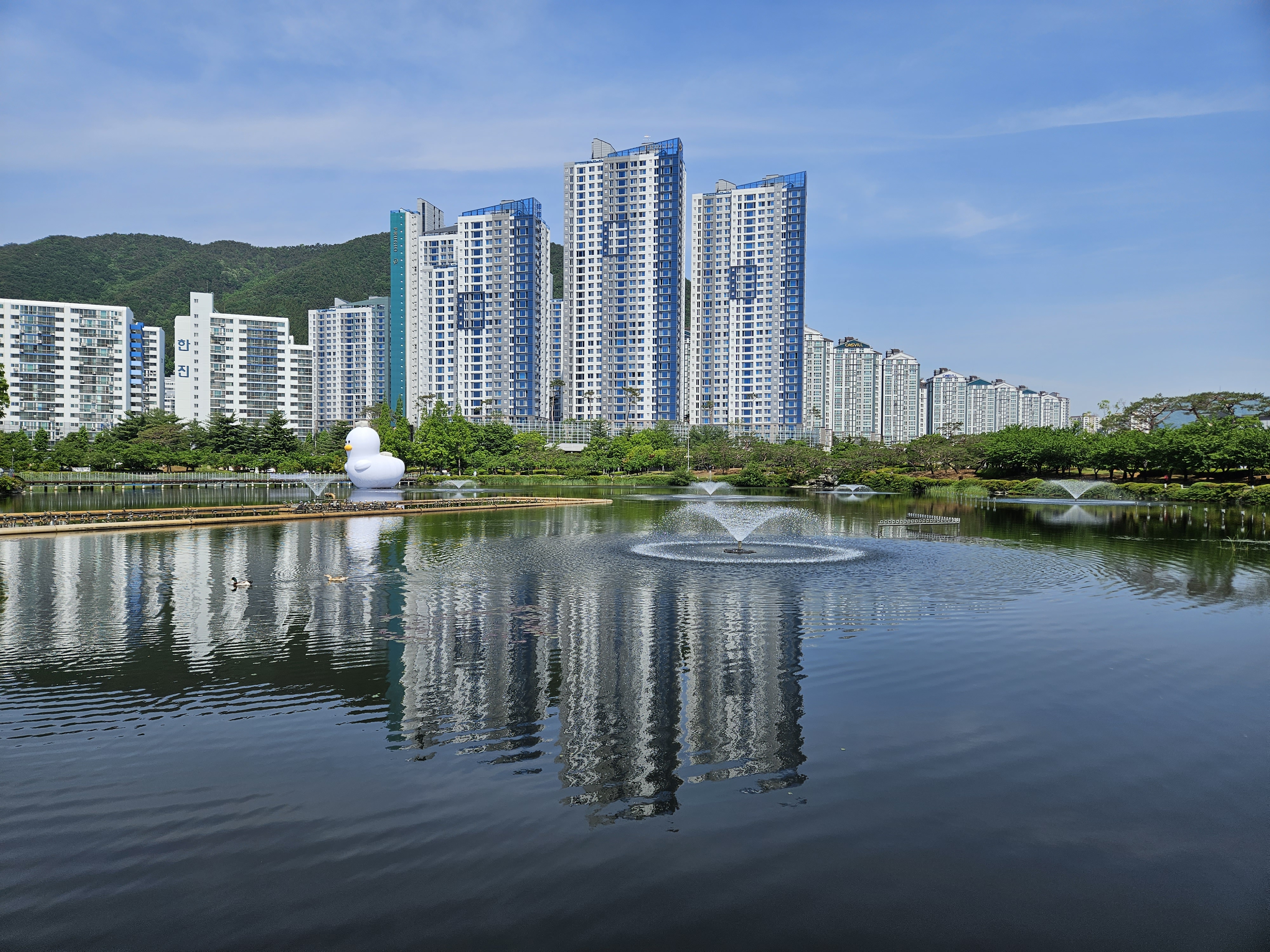 연지공원 호수 전경