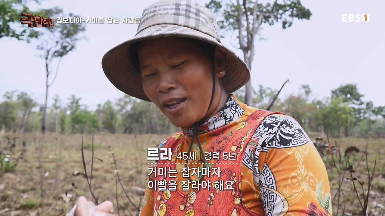 TV - 전 국민의 평생학교 EBS캄보디아 - 독충을 잡는 사람들.mp4_20230501_172000.097.jpg