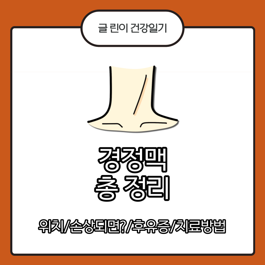 경정맥
경정맥 손상
경정맥 손상 후유증
졍정맥 손상 치료 방법