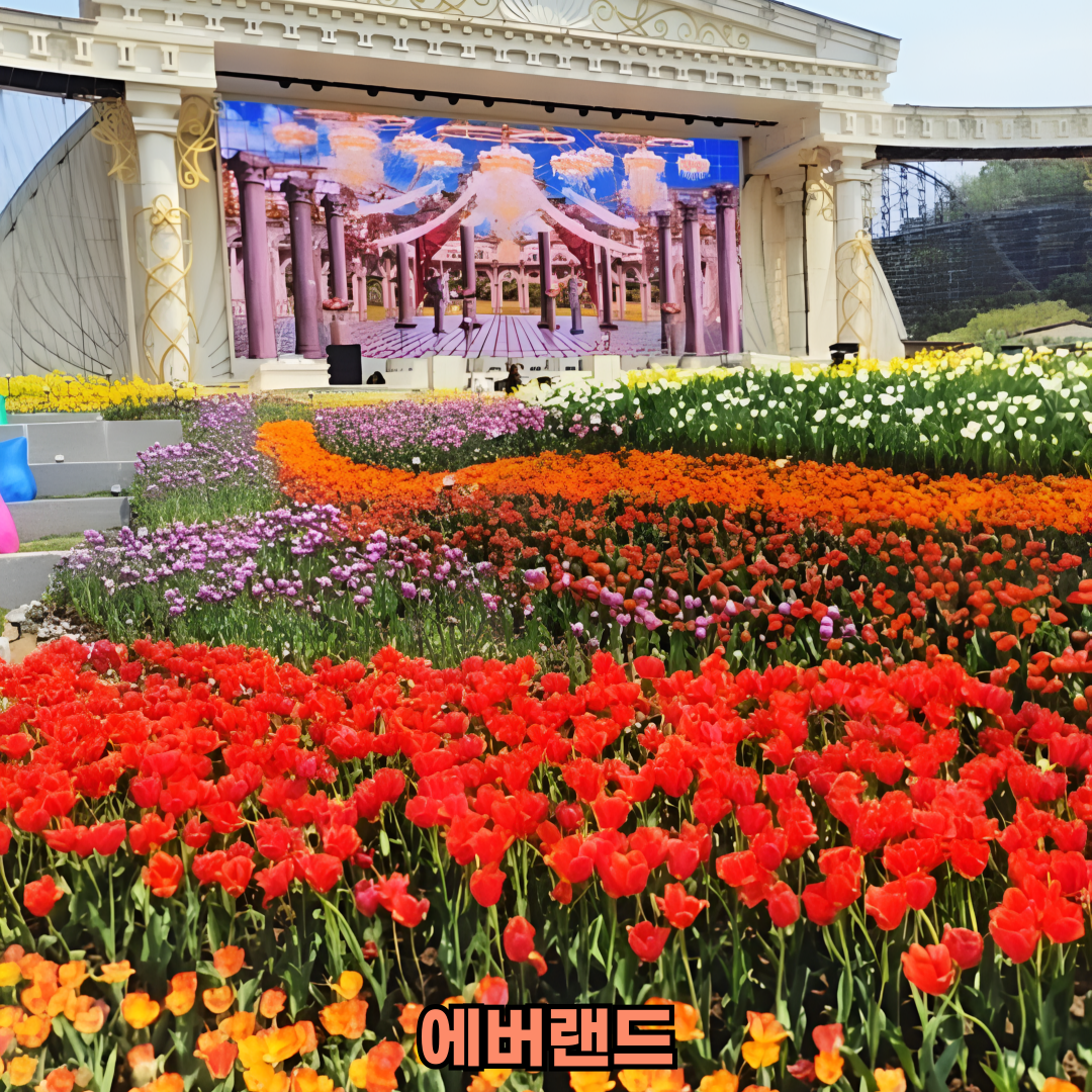 에버랜드 사파리 예약 방법과 튤립 축제 정보