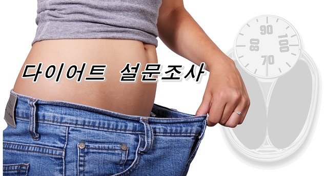  현재 다이어트를 하고 있습니까?