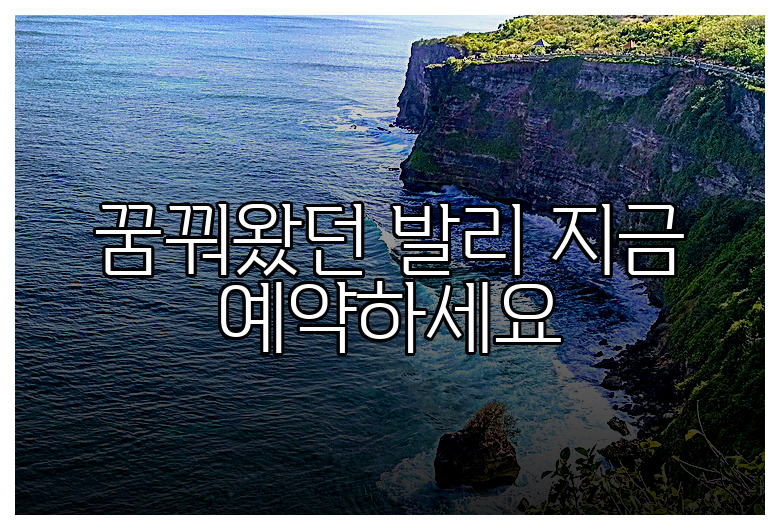 꿈꿔왔던 발리 지금 예약하세요