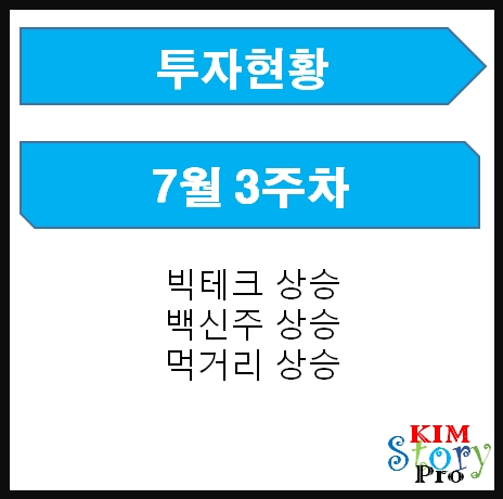  투자현황 - 7월 3주차
