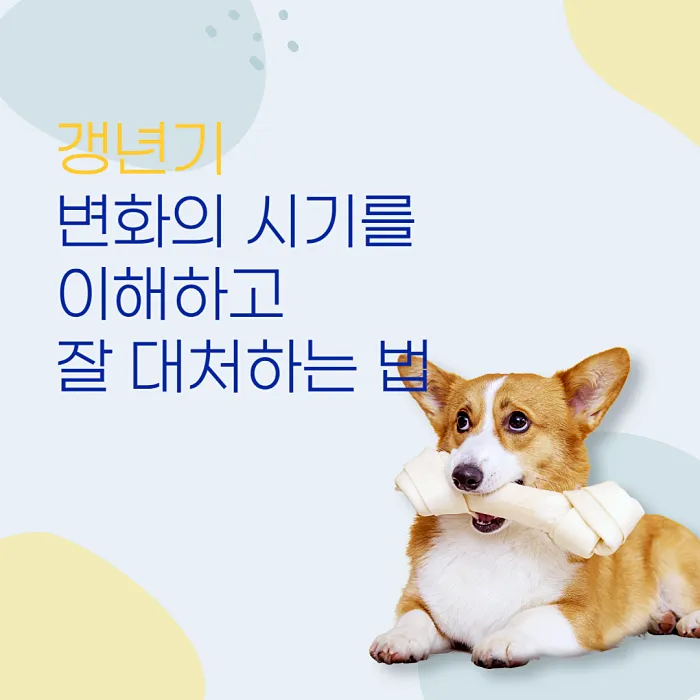  갱년기: 변화의 시기를 이해하고 잘 대처하는 법
