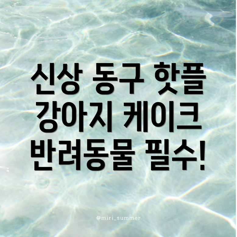 강아지 케이크