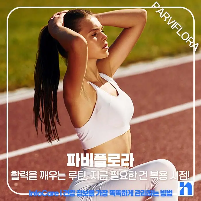 흑생강 파비플로라 복용법, 부작용, 주의사항