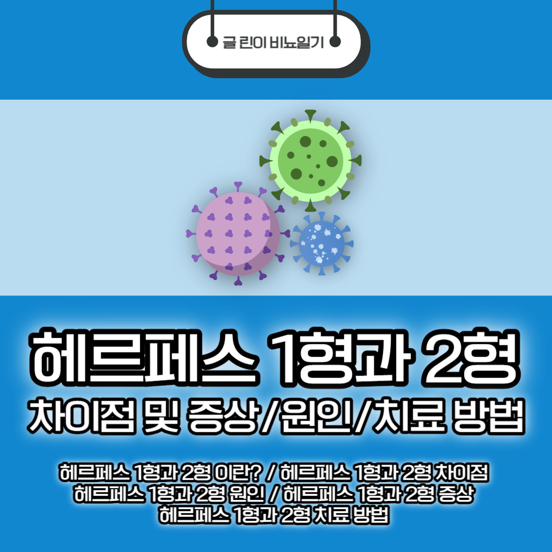  헤르페스 1형과 2형 차이점 및 증상/원인/치료 방법