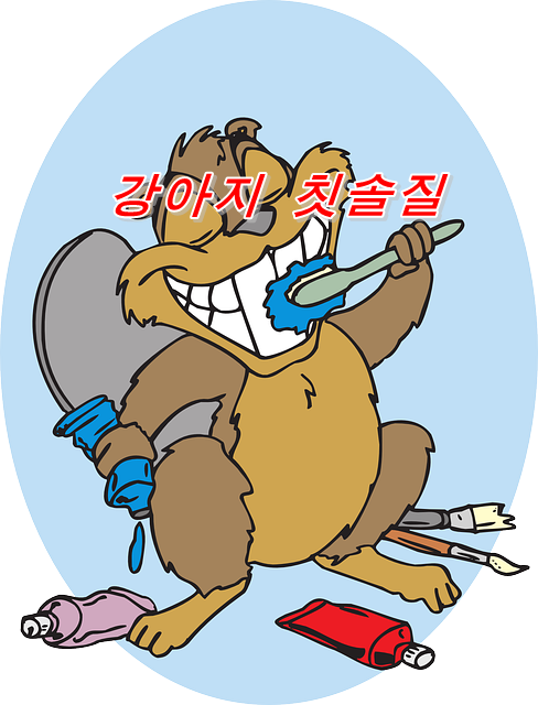 강아지 칫솔질 요령이란? 어떻게 칫솔질을 잘 할 수 있을까?