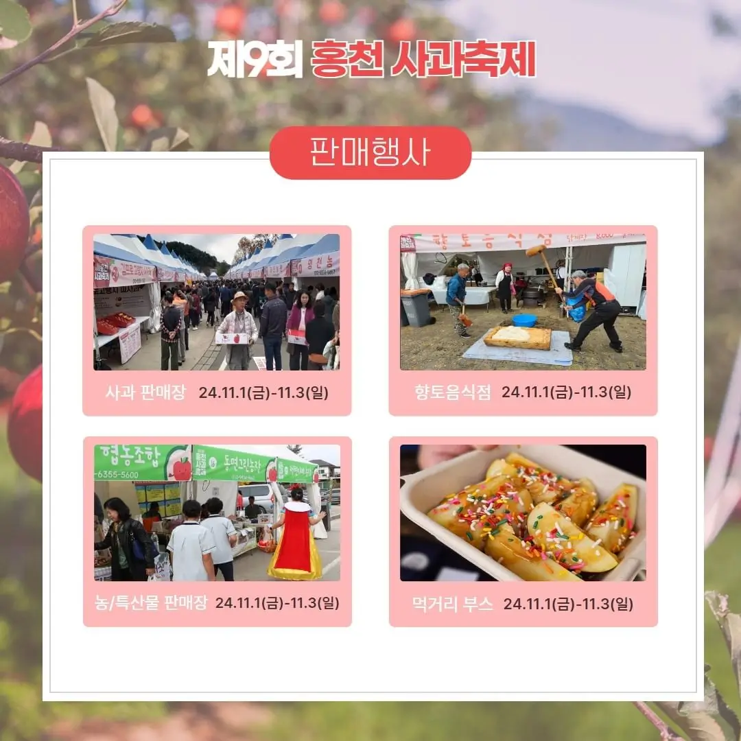 홍천프로그램3