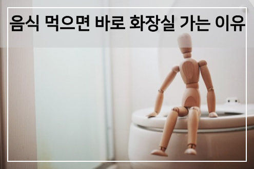  먹으면 바로 화장실 가는 사람 이거 보세요!