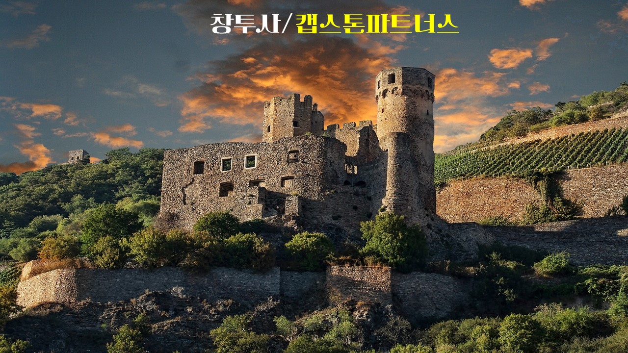 창투사/캡스톤파트너스