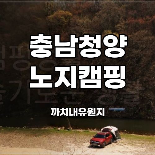  충남 차박 청양 까치내유원지 - 물놀이가 가능한 무료 노지캠핑장