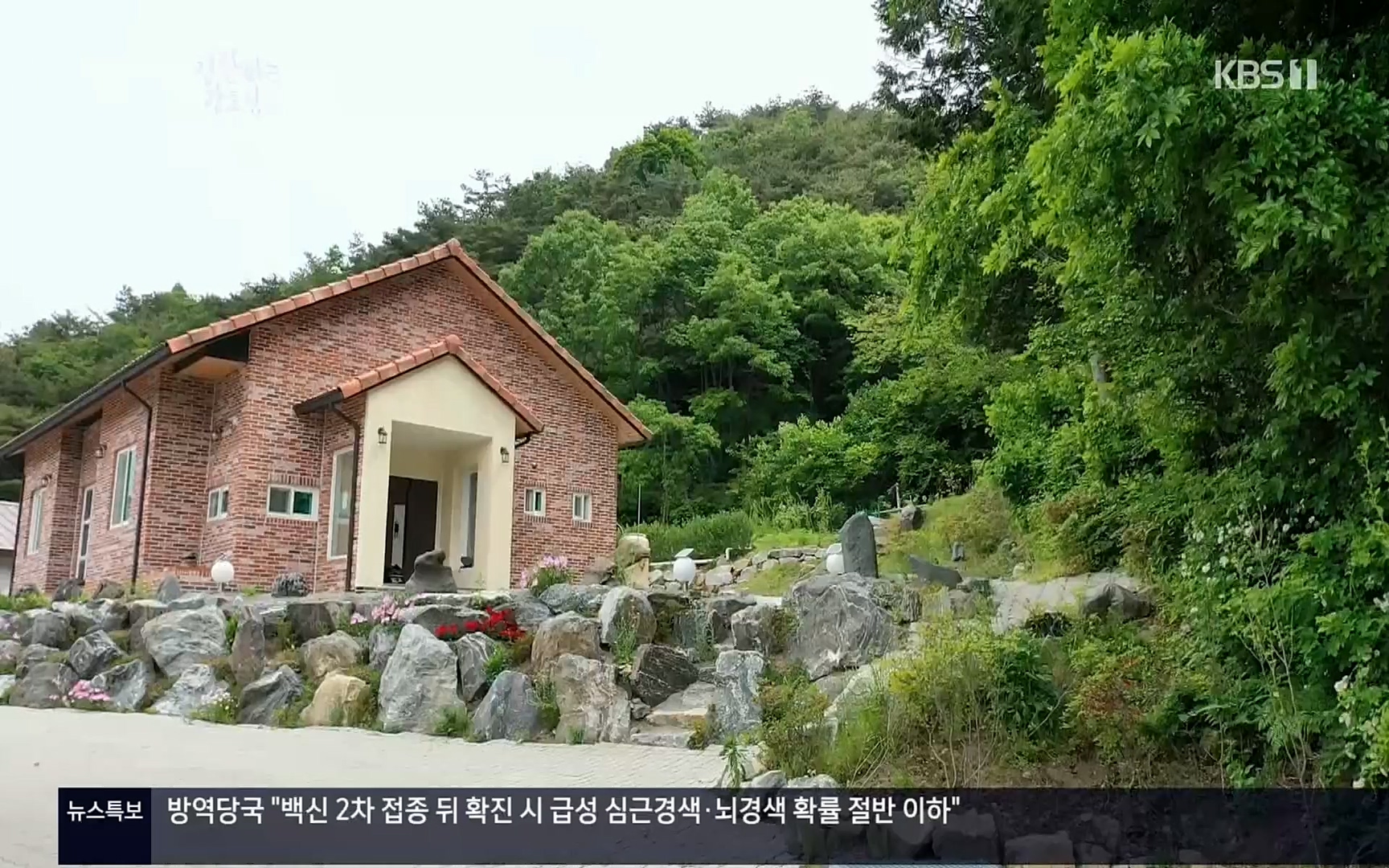 다큐 인사이트.E122.220825p.H264-F1RST.mp4_20220826_152305.086.jpg