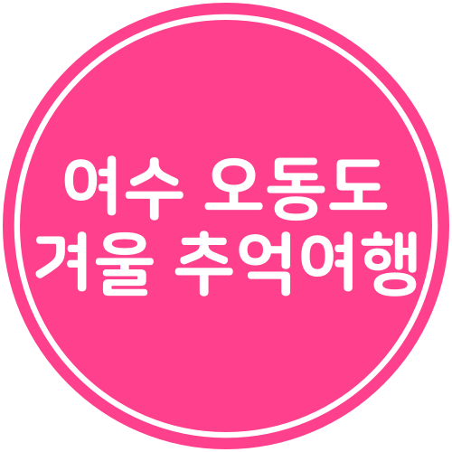  [여수여행] 오동도 동백꽃 분수대 추억 여행