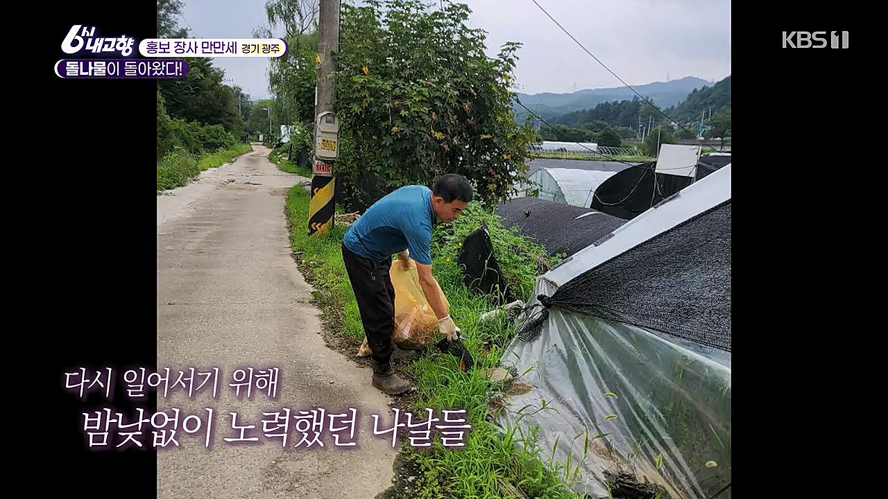 6시 내고향.E7753.230315p-NEXT.mp4_20230315_180933.179.jpg