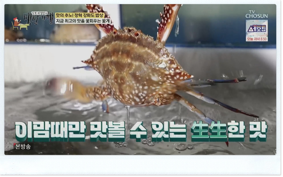 강화도 밥상