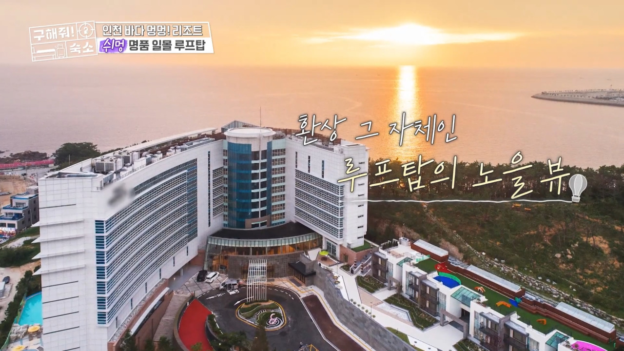  MBC <구해줘 숙소> 7회 애견 동반 가능 수도권 펫캉스 숙소 리스트 및 정보 소개