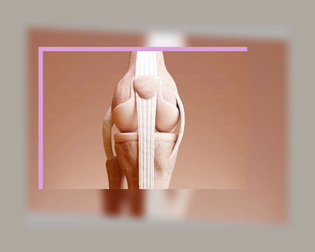 무릎 건강_1_subsection