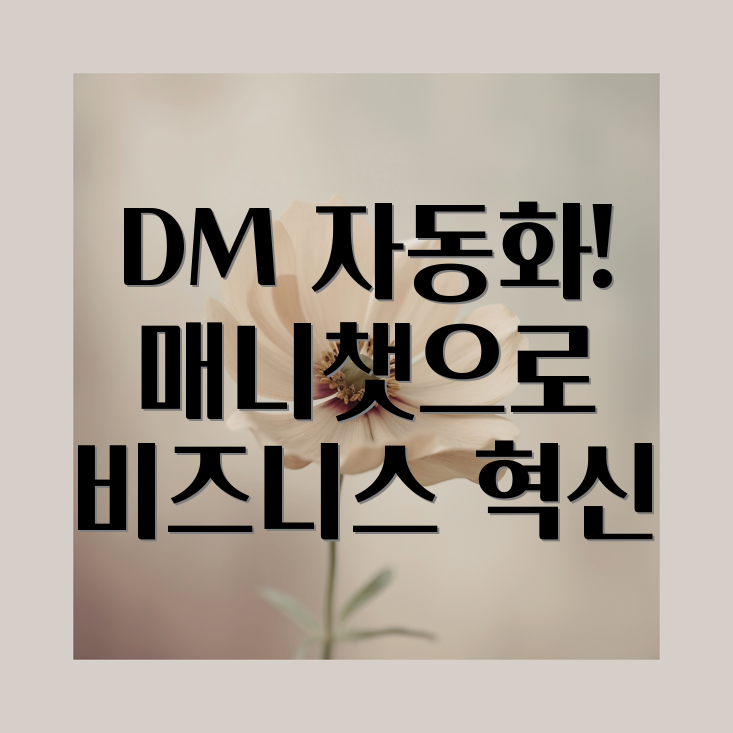 매니챗 인스타그램 DM 자동화