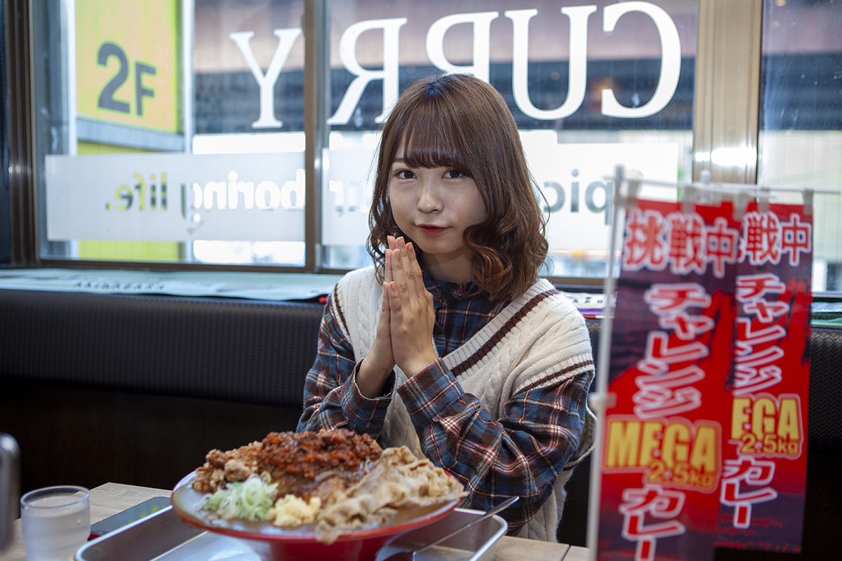 하이라이스 카레라이스 차이. 하야시라이스 뜻 만드는법 9