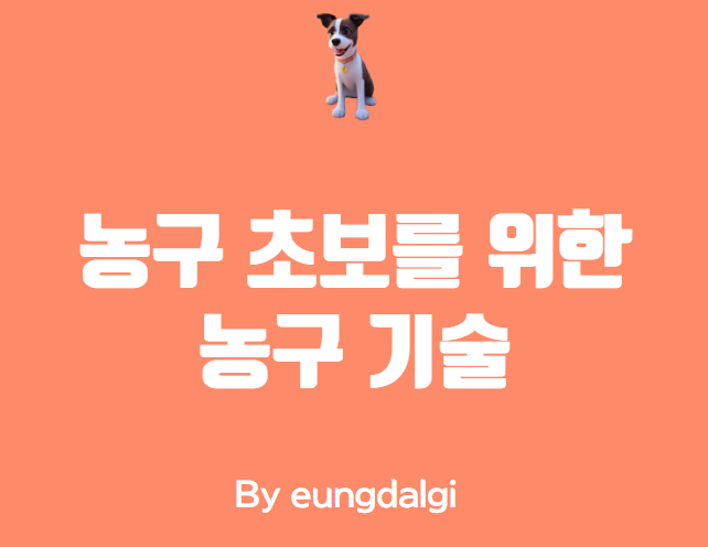  농구 기술: 초보자를 위한 농구 기술 안내서