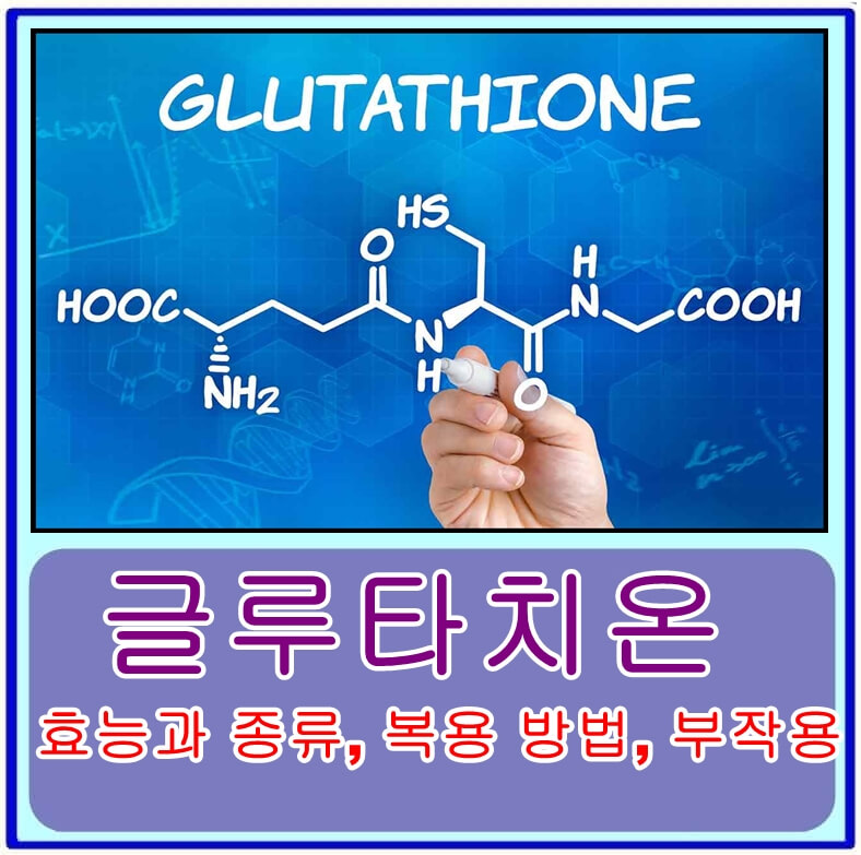 글루타치온의 효능과 종류&#44; 복용 방법&#44; 부작용&#44; 꼭 먹어야하는 음식