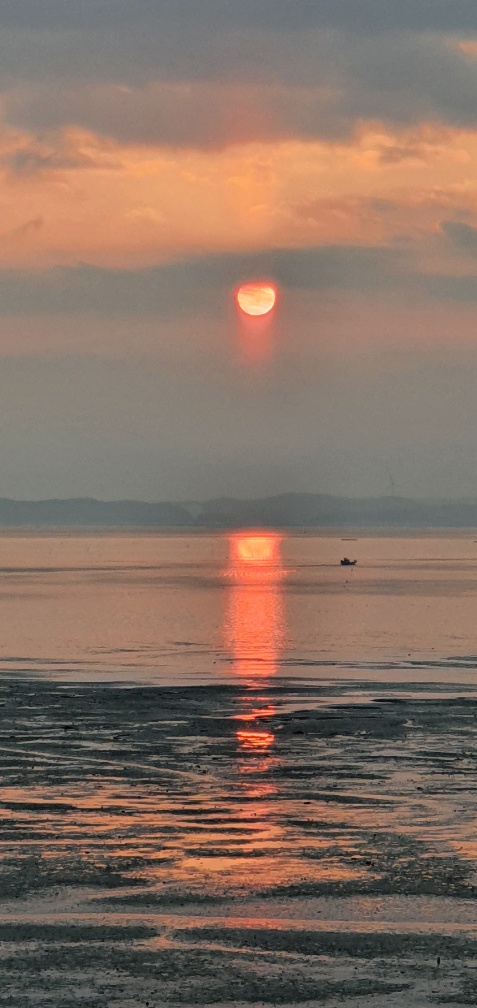 img.jpg
