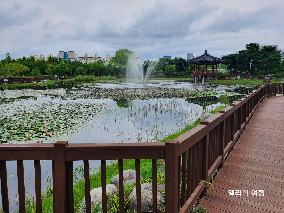  [국내여행]대전_한밭수목원,코로나에도 안전한