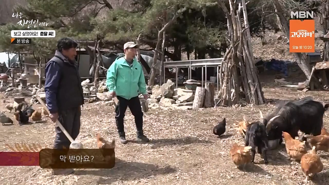 나는 자연인이다.E548.230406p-NEXT.mp4_20230406_195745.839.jpg