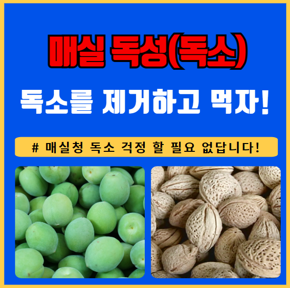 매실 독성